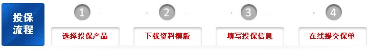 投保流程 投保流程